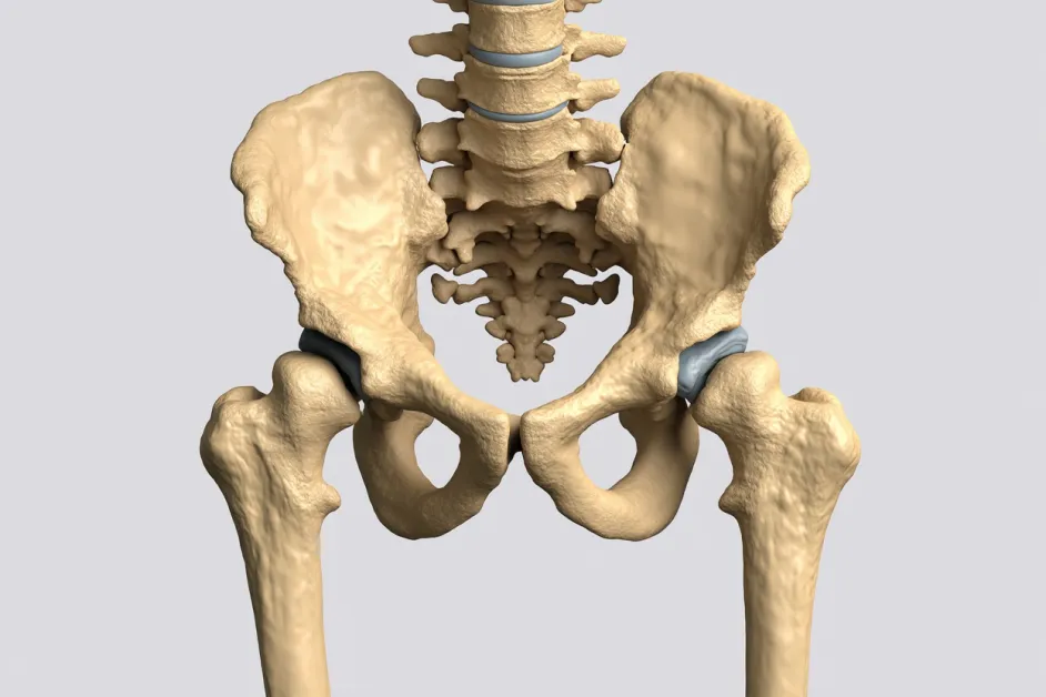 ภาพที่สื่อถึงการปกป้องสุขภาพด้วยความคุ้มครองจากประกันมะเร็งกระดูก